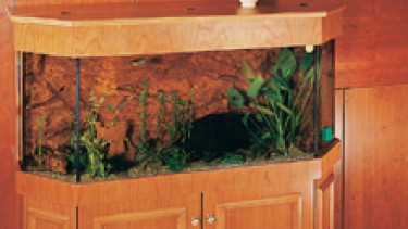 Steil aufwärts im Aquarienbau