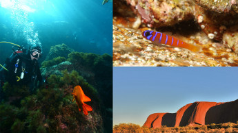 Das JBL-Team ist in Kalifornien, Australien und der Südsee unterwegs