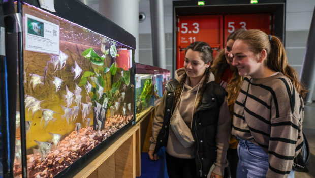 Auch die Aquaristik präsentierte sich auf der Animal in Stuttgart.