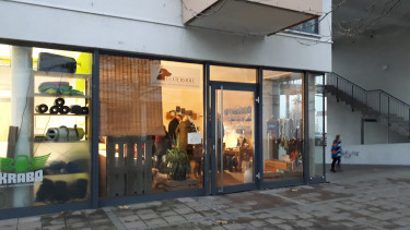 Gegen den Strom