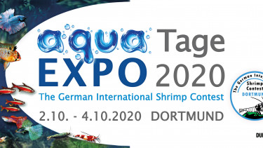 Aquaristik in Dortmund