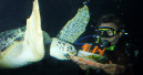 Tolle JBL-Aktion im Sea-Life-Center 