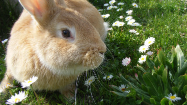 Kunden und ihre Wünsche