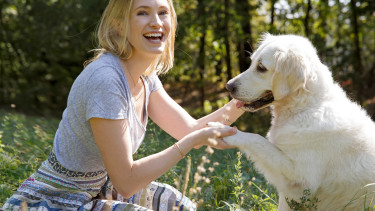 Testsieger aus Österreich