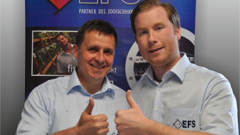 Neustrukturierung bei EFS