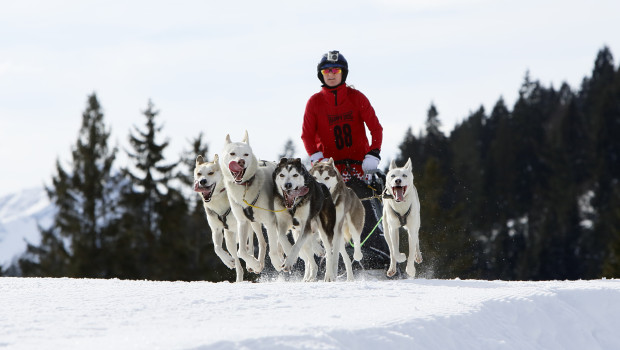 Acht Spitzensportler aus Deutschland, Österreich, Polen und Tschechien sind für Interquell ("Happy Dog") am Start. 