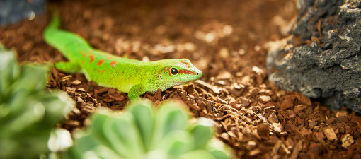 Der Boden macht den Unterschied Der Boden macht den Unterschied