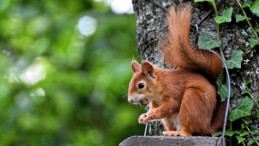 Fütterung hat immer Saison