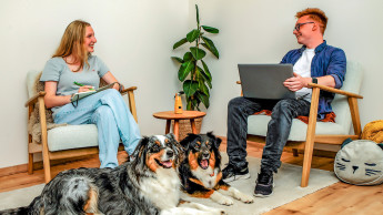 67 &nbsp;Prozent befürworten Bürohunde