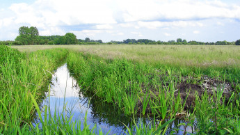 Streicheleinheiten von innen