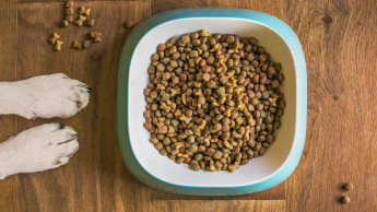 Sensorisch optimiertes Tierfutter