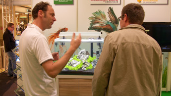 Wasserwelten im Einkaufszentrum