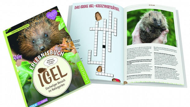 Claus, Erlebnisbuch Igel Claus, Erlebnisbuch Igel