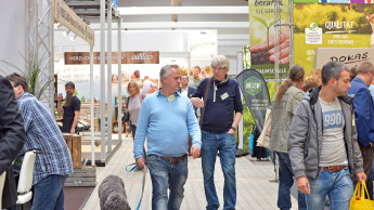 Zum Sterben zu gut Zum Sterben zu gut