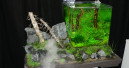Zukunft von „Art of the Planted Aquarium“ geklärt