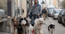 Trixie stattet Kinofilm „Wuff“ aus