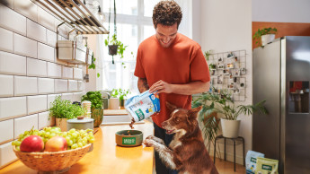 Green Petfood gibt Tipps zum Veganuary