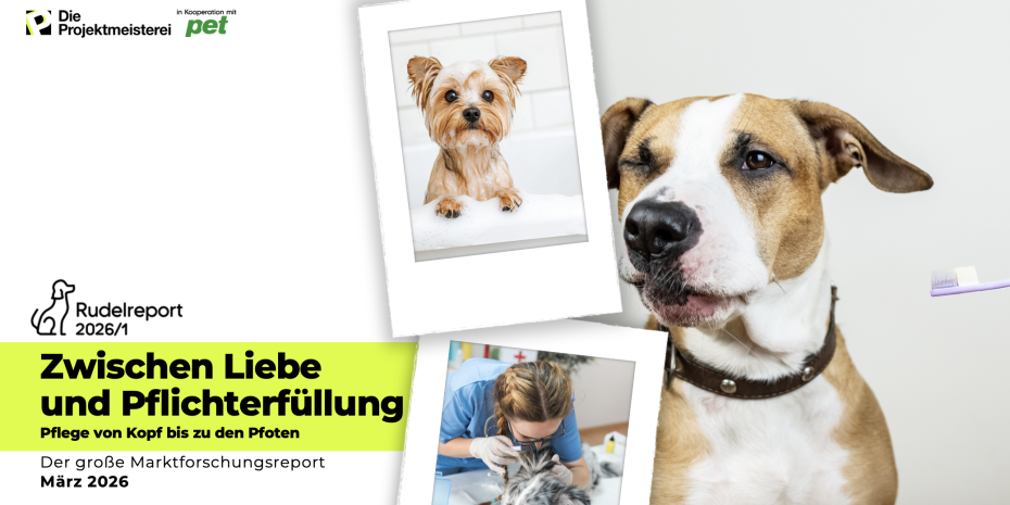 Die neue Ausgabe der Markt­forschungsreihe Rudelreport.