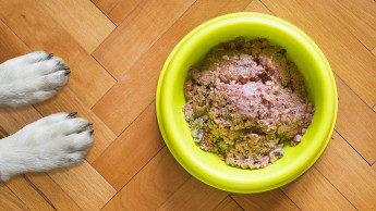 Petbook testet Premium-Nassfutter