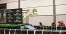 Europameister im Dog Diving gekürt