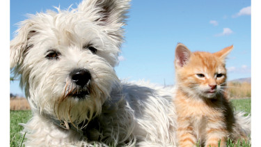 Neuer Bayer-Produktkatalog