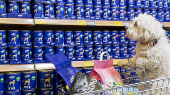 Das Futterhaus mit Umsatzwachstum Das Futterhaus mit Umsatzwachstum