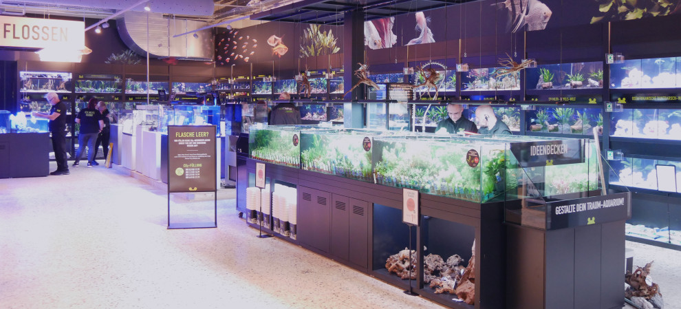Aquaristik