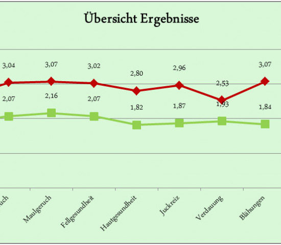 Dr. Schaette, Adult GesundFutter mit Kaninchen und Hirse