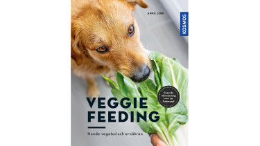Veggie Feeding