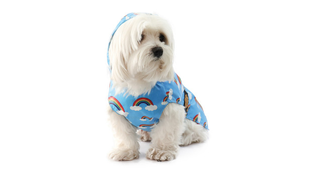 Fashion Dog, Hundebekleidung