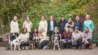 Barfgold startet Wunschbaumaktion