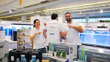 Bindeglied von Industrie und Handel