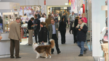 Volle Messehallen in Kassel?