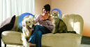 Hund hilft Herrchen und Frauchen