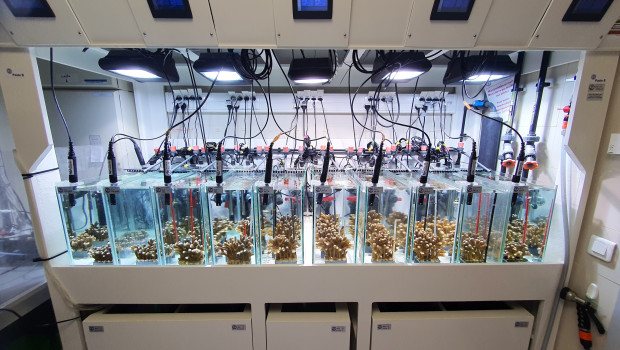 Die Meeresforschung in Monaco wird seit 12 Jahren von JBL unterstützt.