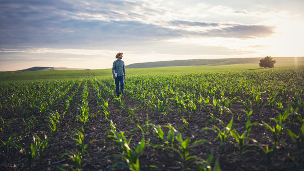 Von CDP gab es für Symrise eine A- Note für Klimawandel und Wassersicherheit sowie ein B für Waldschutz.