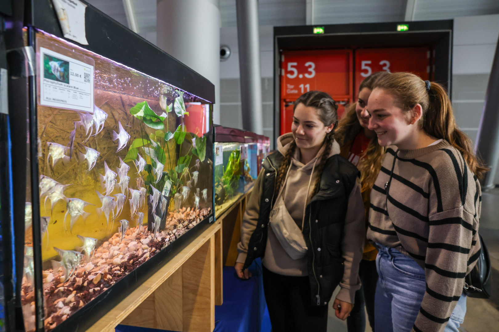 Mehr Besucher beim Stuttgarter Mess...