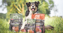 Meat Menue für Hunde mit Hühnchenhappen