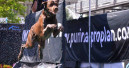 Dog Diving auf Sommertour