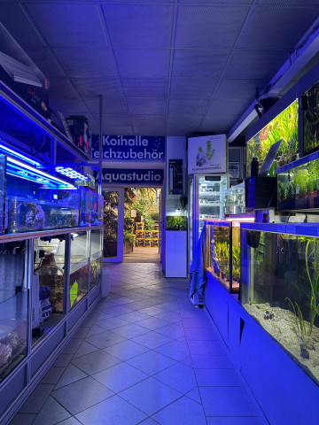 Eine Institution: 1989 eröffnete Soßna „das aquarium“ in der Hamburger Straße auf 120 m2 und machte sich über die Jahre hinweg weltweit einen Namen. Eine Institution: 1989 eröffnete Soßna „das aquarium“ in der Hamburger Straße auf 120 m2 und machte sich über die Jahre hinweg weltweit einen Namen.