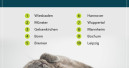 Die katzenfreundlichsten Großstädte