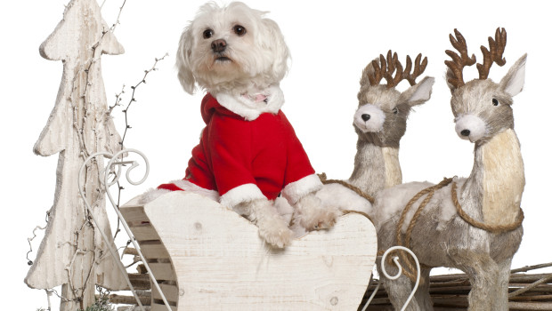 Lifeonwhite.com-Fotolia