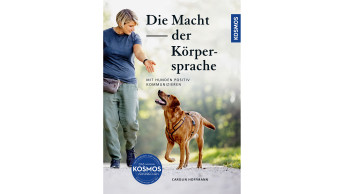 Die Macht der Körpersprache