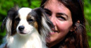 Hund ist beliebtestes Heimtier