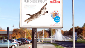 Royal Canin startet neue Kampagne
