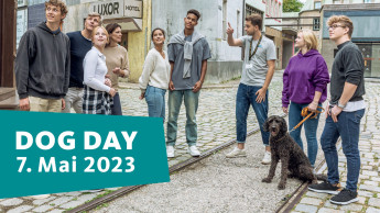 Bavaria Filmstadt lädt zum Dog Day ein