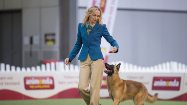 25.000 Besucher und 9.000 Hunde in Dortmund
