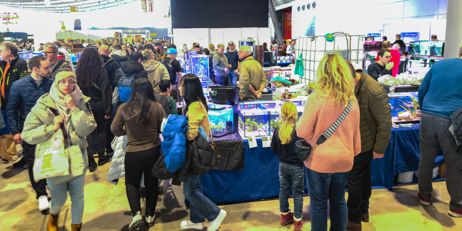 Der Bereich Fisch & Reptil hat zugelegt.