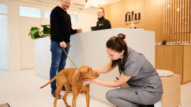 Filu eröffnet dritte Tierarztpraxis