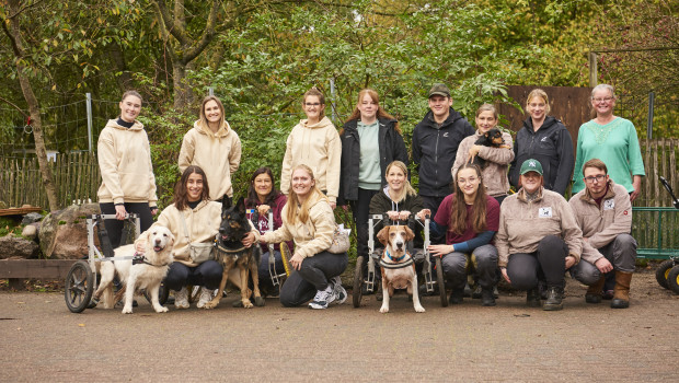 Über den Barfgold-Wunschbaum im Online-Shop können Kunden ausgewählte Produkte direkt für die De Hun'nenhoff-Tiere spenden.